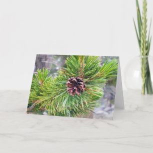Carte De Remerciements Pine Cone de Lodgepole Pine Note Card