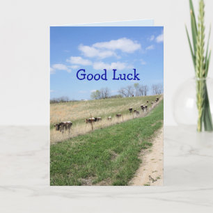 Carte De Remerciements Pinzgauers 8360 Good Luck-change pour toute occasi