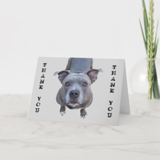 Carte de remerciements Pitbull (Devant)