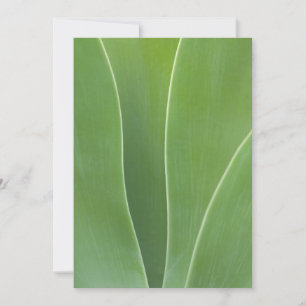 Carte De Remerciements Plante d'Agave de près