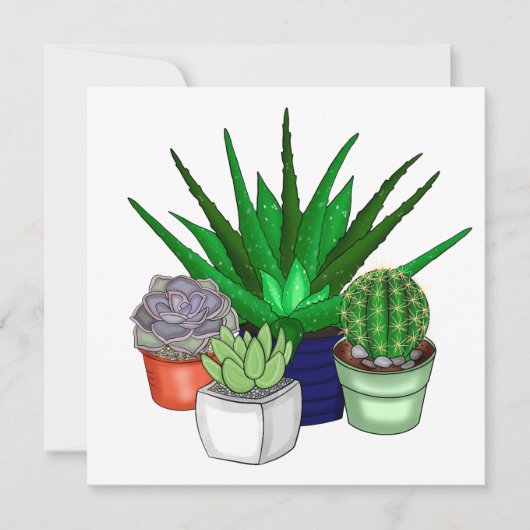 Carte De Remerciements Plantes de maison | Succulents (Devant)