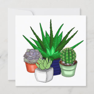 Carte De Remerciements Plantes de maison Succulents