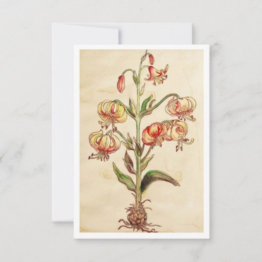 carte de remerciements plat 3,5 po x 5 po (Devant)