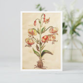 carte de remerciements plat 3,5 po x 5 po (Debout devant)