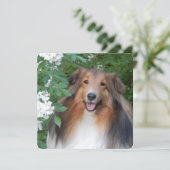 carte de remerciements plat avec Shelter (Debout devant)