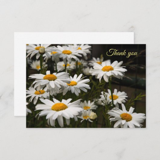 Carte de remerciements plat Daisy été (Devant / Derrière)