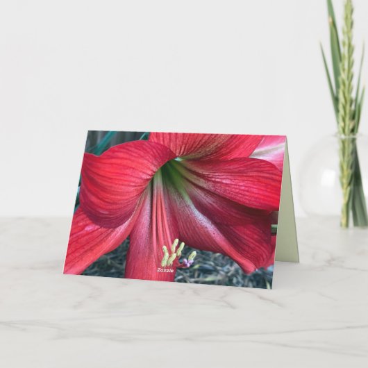 Carte de remerciements pliée (Dos)