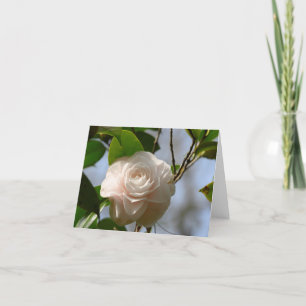 Carte de remerciements pliée à la Camellia blanche