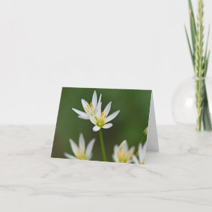 Carte de remerciements pliée de beauté printanière