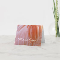 Plumes de Flamant rose dans les tons roses