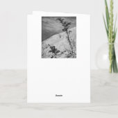 Carte De Remerciements Ponts Fidelia (Dos)