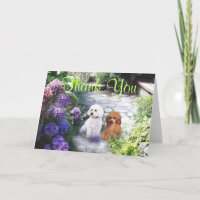Poodle thank You Card Hydrangeas