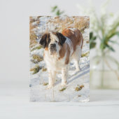 Carte De Remerciements Portrait de Saint Bernard (Debout devant)