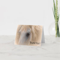 Portrait du cheval blanc