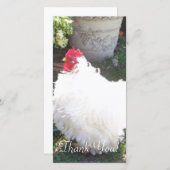 Carte De Remerciements Poulet blanc pelucheux (Devant / Derrière)