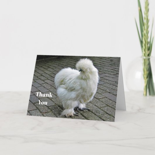 Carte De Remerciements Poulet blanc Silkie Photo (Devant)