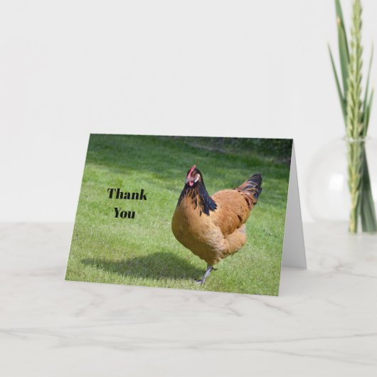 Carte De Remerciements Poulet noir et or Vorwerk Photo (Devant)