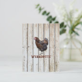 Carte De Remerciements Poulet Wyandotte (Debout devant)