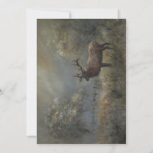 Prairie de cerfs toutes occasions