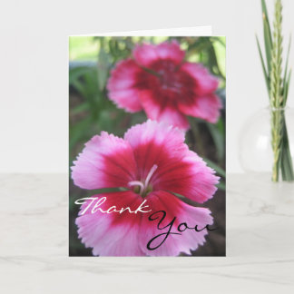 Carte De Remerciements Pretty Pink Dianthus Greeting