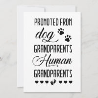Promu des grands-parents chiens à l'humain, grosse