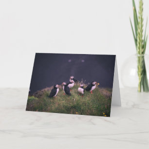 Carte De Remerciements Puffins de l'Atlantique