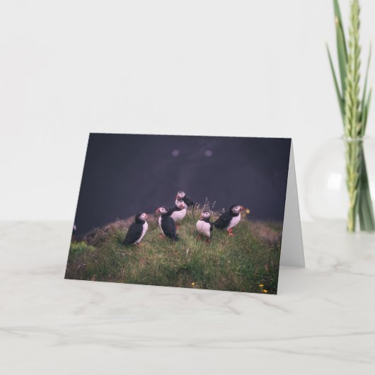 Carte De Remerciements Puffins de l'Atlantique (Devant)