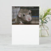 Carte De Remerciements Rat curieux (Debout devant)