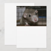 Carte De Remerciements Rat curieux (Devant / Derrière)