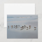 Carte De Remerciements Raviers blancs sur la plage Nature (Devant / Derrière)