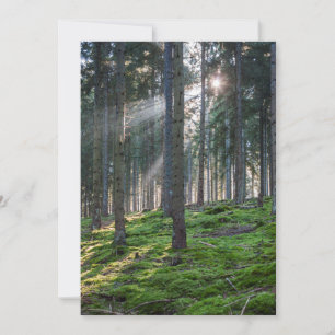 Carte De Remerciements Rayons de soleil dans la Forêt-Noire