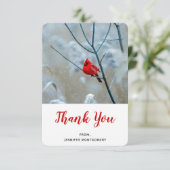 Carte De Remerciements Red Cardinal dans Winter Nature Photo de Christmas (Debout devant)