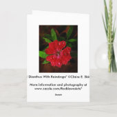Carte De Remerciements Red Dianthus Avec Raindrops (Dos)