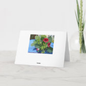 Carte De Remerciements Red géranium, beautiful friend (Dos)