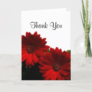 Carte De Remerciements Red Gerbera Daisy Thank You Card