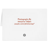 Carte de remerciements Red Poppy (Dos Horizontal)