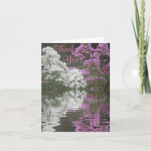 Carte de remerciements Réflexions Phlox (Devant)