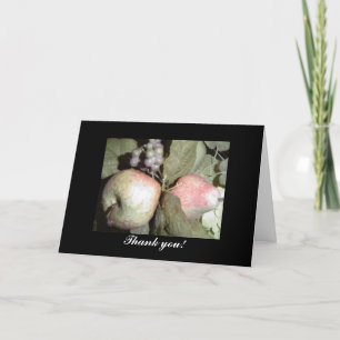 Carte De Remerciements Remerciement pour la disposition de fruits