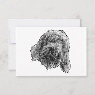 Carte De Remerciements Remerciements gentils Spinone
