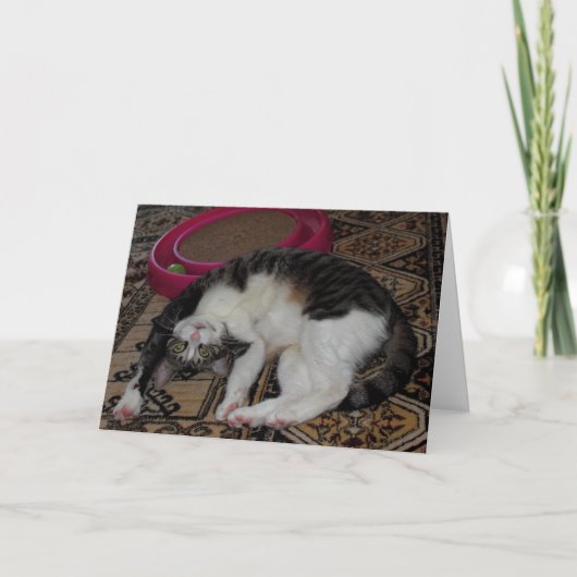 Carte De Remerciements Replier vers l'arrière (Devant)