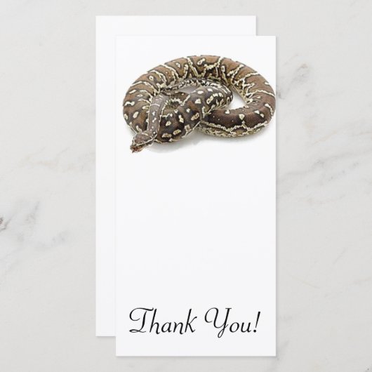 Carte De Remerciements Reptile de serpent de python (Devant / Derrière)