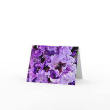 Rhododendron allemand