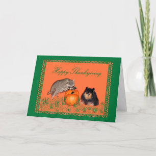 Carte De Remerciements rocky peb thanks