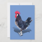 Carte De Remerciements Rooster de Minorque (Devant)