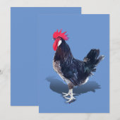 Carte De Remerciements Rooster de Minorque (Devant / Derrière)