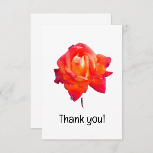 Carte De Remerciements Rose orange (Devant / Derrière)