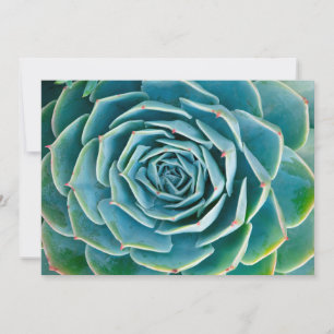 Carte De Remerciements Rosette d'Echeveria, Jardin Secret de Marrakech