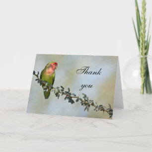 Carte De Remerciements Rosy-faced love bird on a branch, thank you.