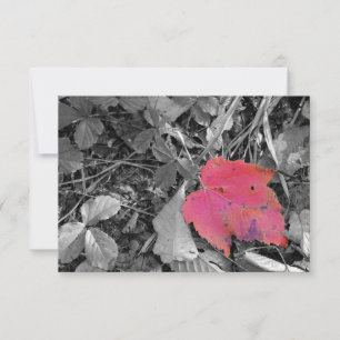 Carte De Remerciements Rouge vif feuille Color Pop
