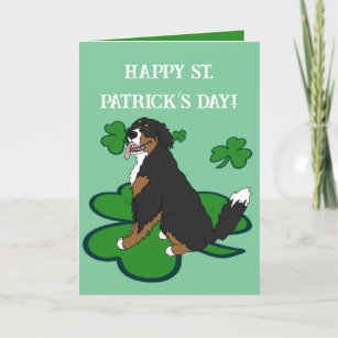 Carte De Remerciements Saint Patrick’s Day Bernese Mountain Dog